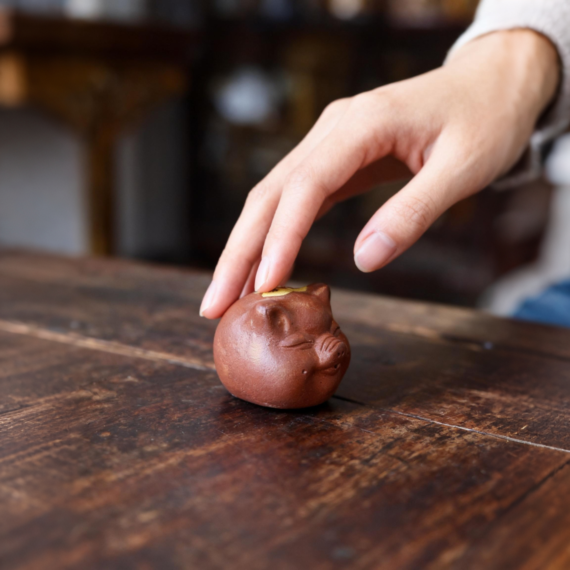 Lucky Pig Tea Pet - Image 3