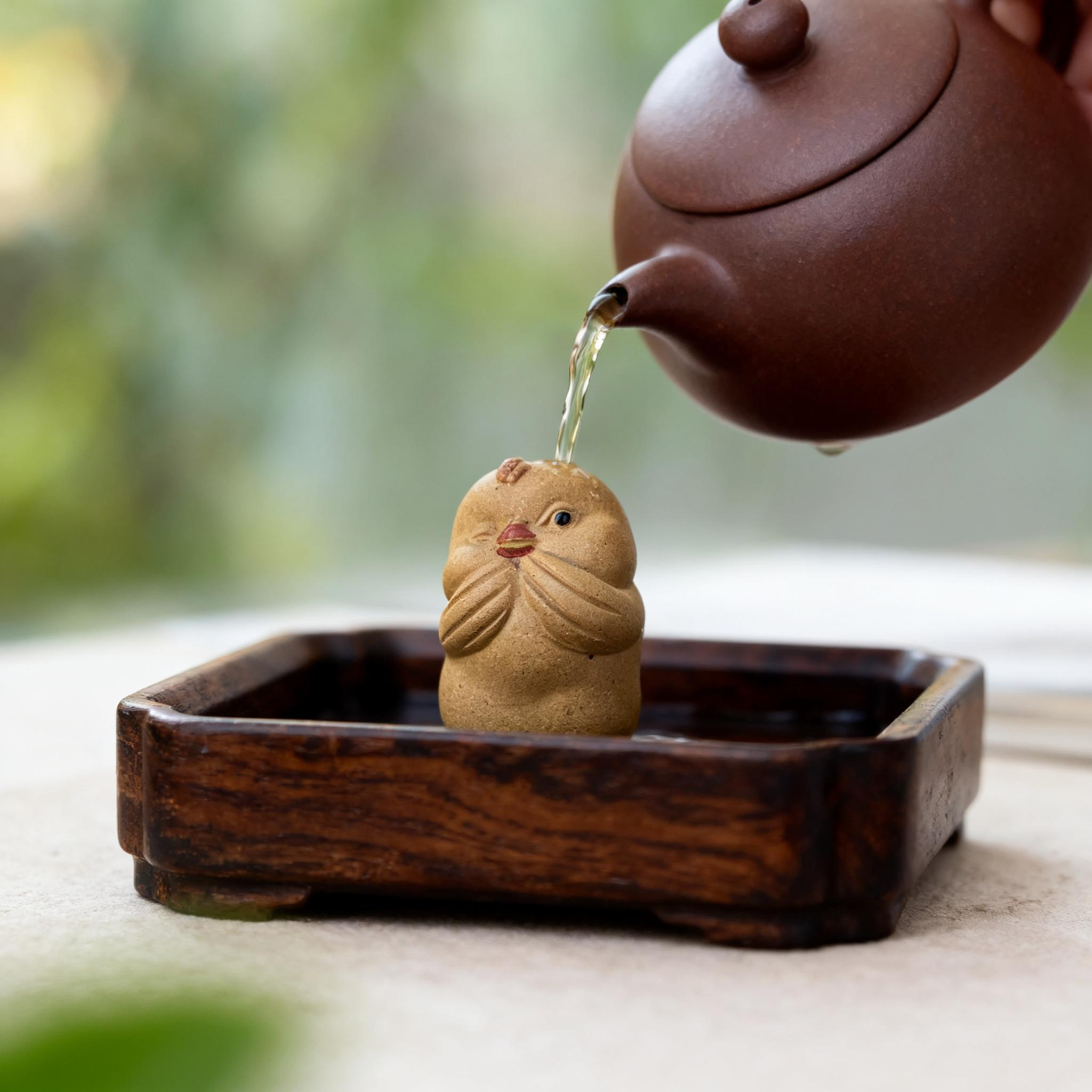 Playful Little Chicken Tea Pet - Image 2