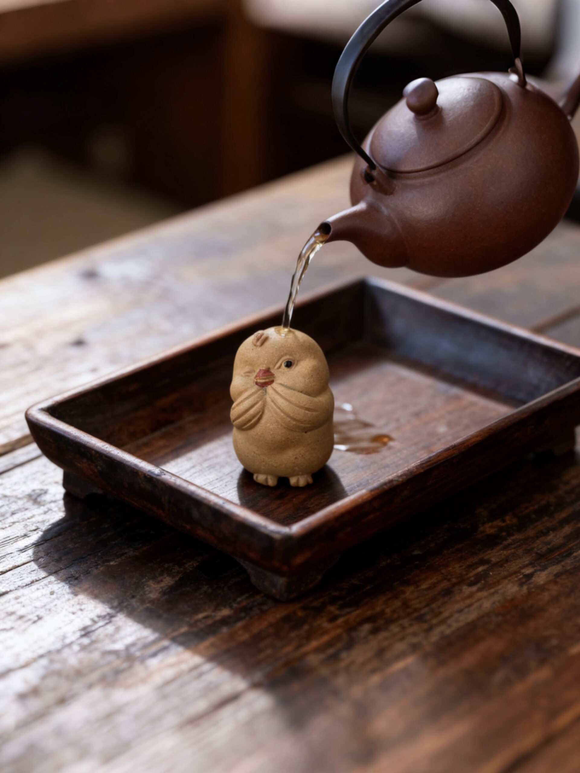 Playful Little Chicken Tea Pet - Image 7